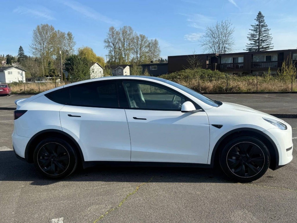 2021 Tesla Model Y Image 10