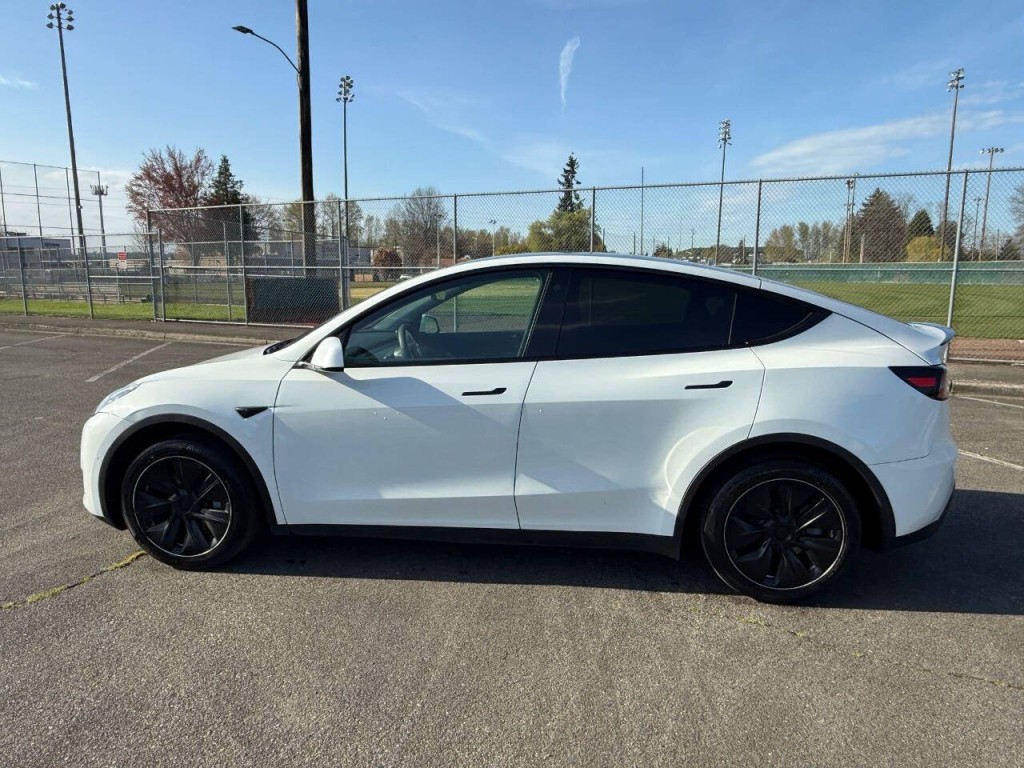 2021 Tesla Model Y Image 13