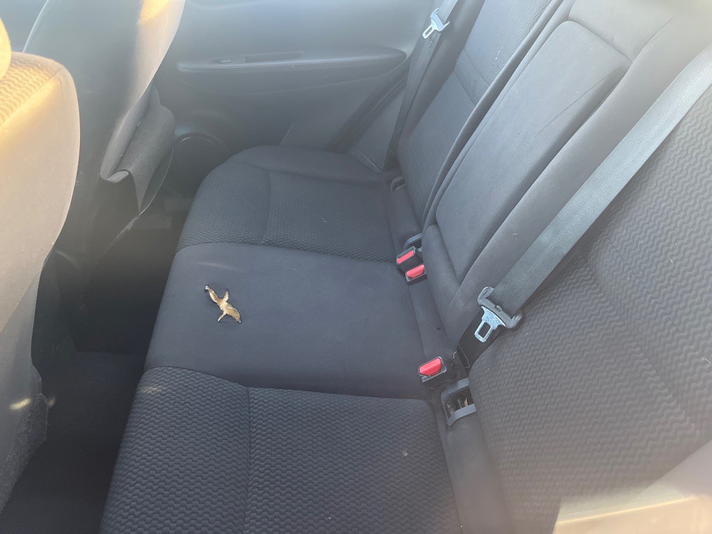 2019 Nissan Rogue Image 6