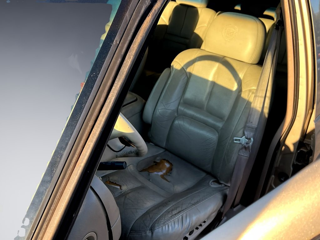 1999 Cadillac Escalade Image 9