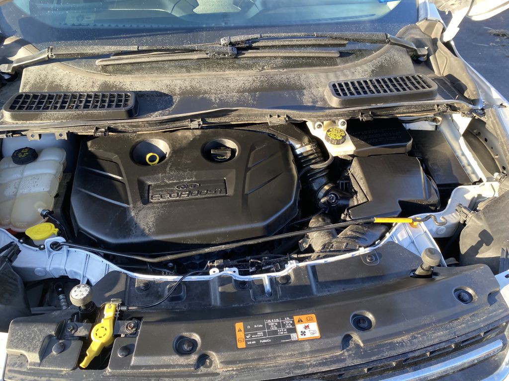 2014 Ford Escape Image 24