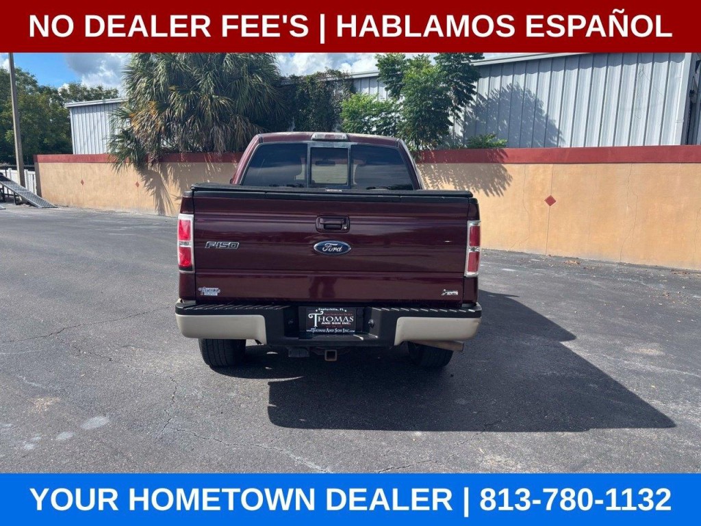2010 Ford F-150 Image 4