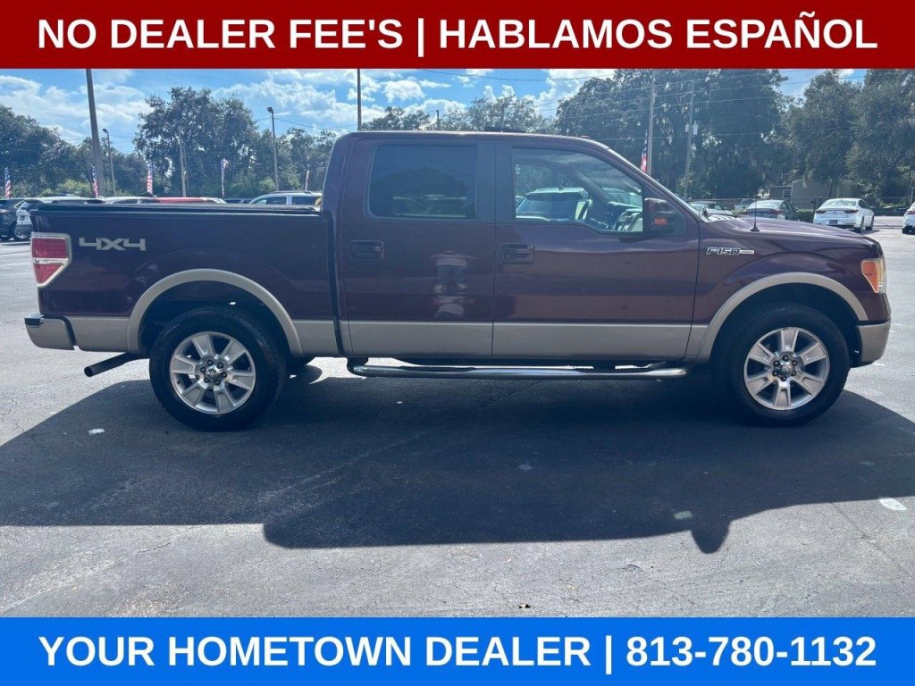 2010 Ford F-150 Image 6