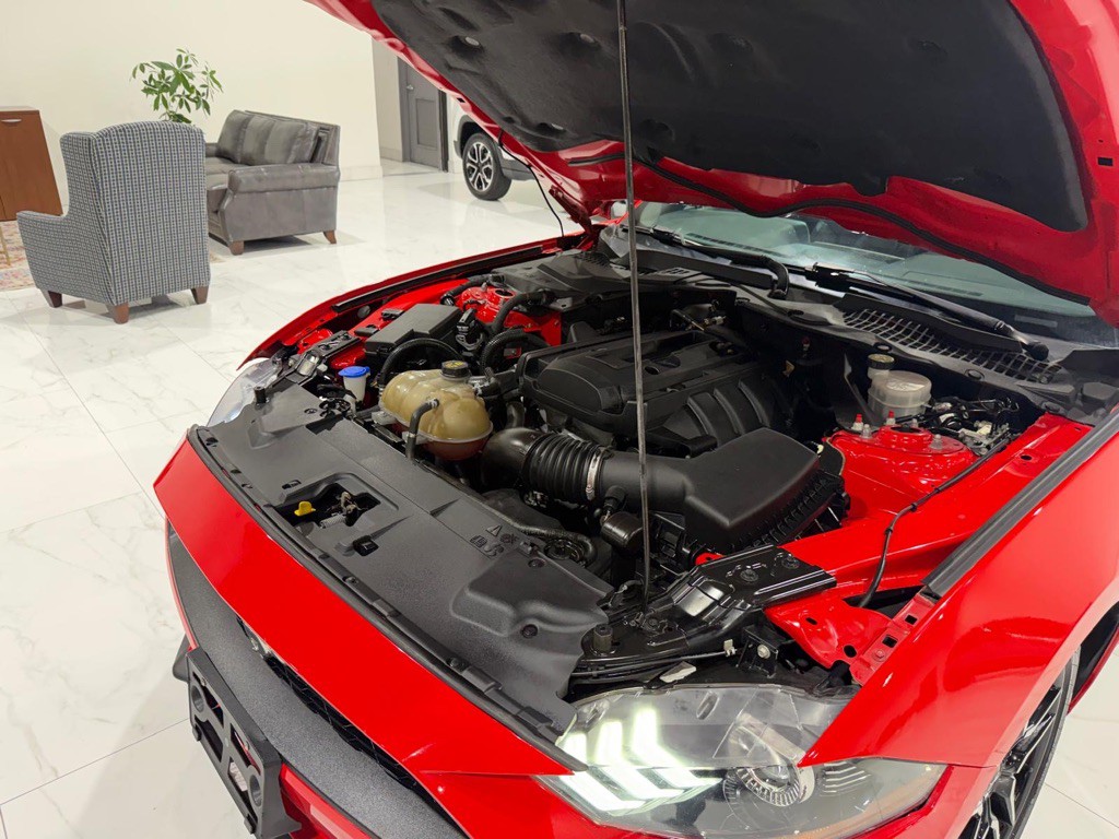 2020 Ford Mustang Image 19