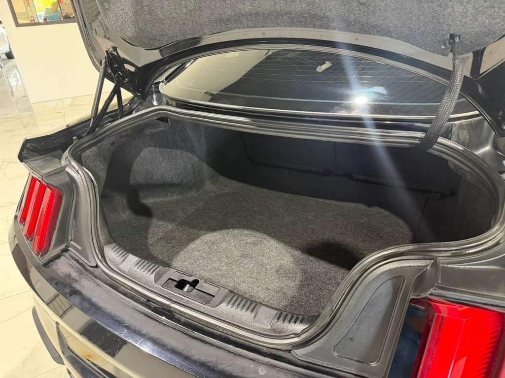 2018 Ford Mustang Image 11