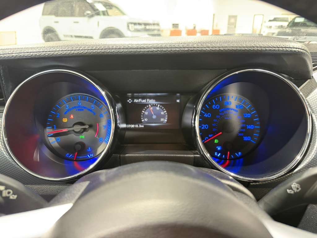 2017 Ford Mustang Image 14