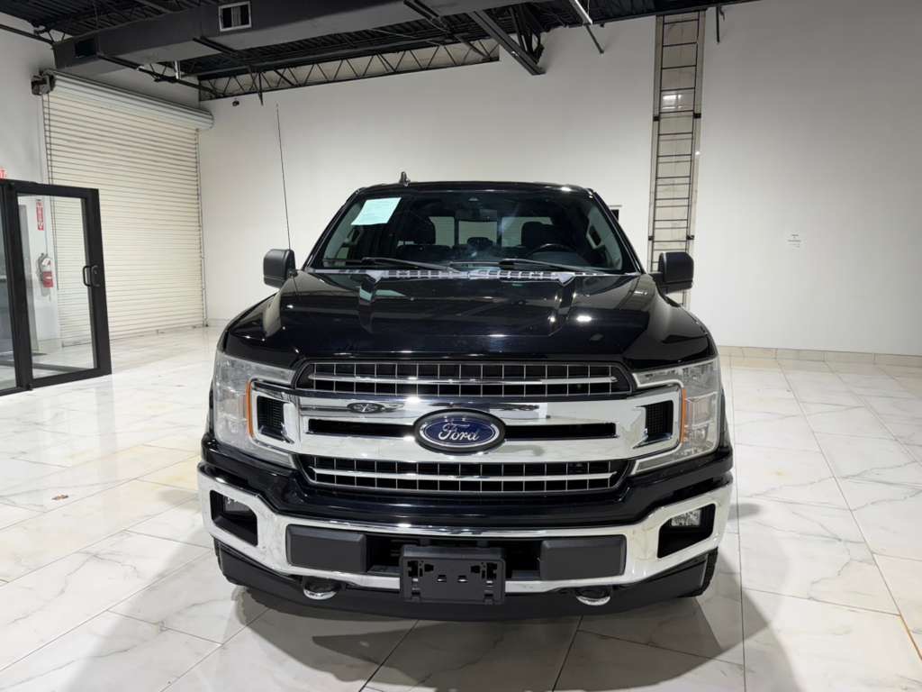 2019 Ford F-150 Image 2