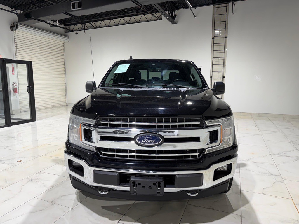 2019 Ford F-150 Image 11