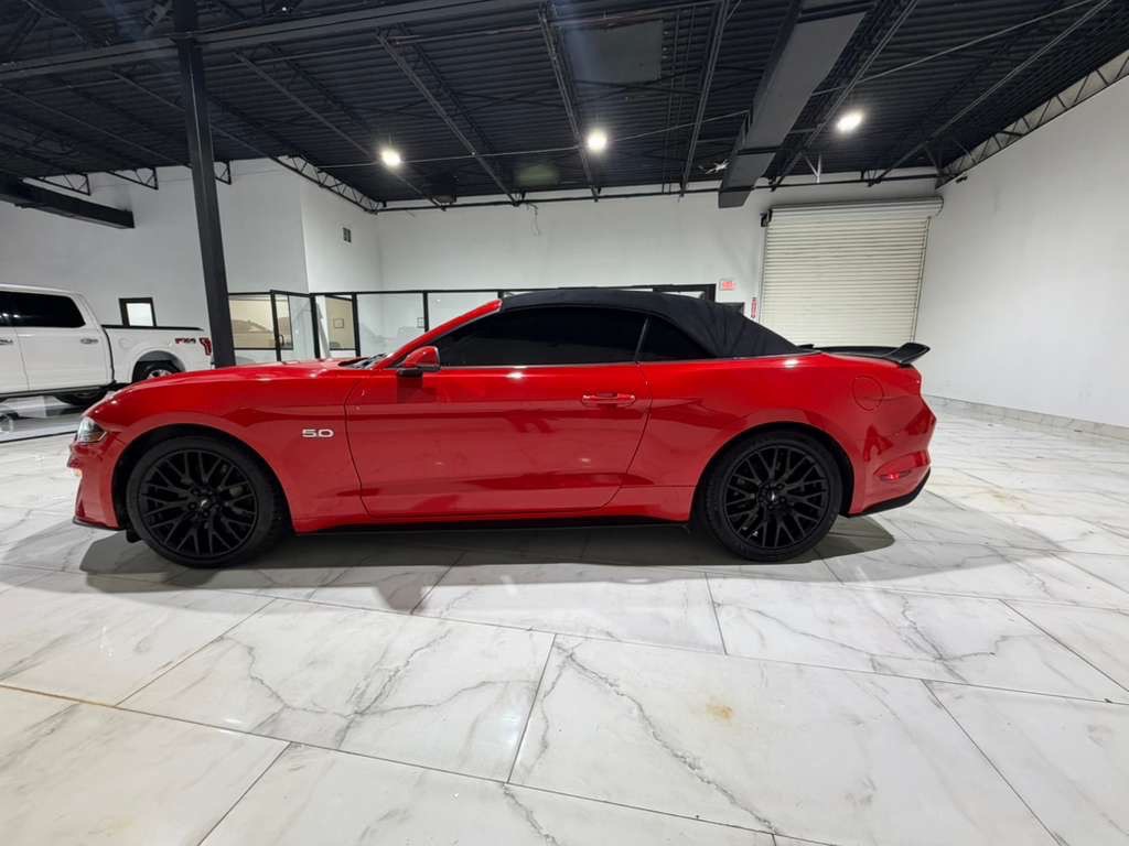 2019 Ford Mustang Image 4