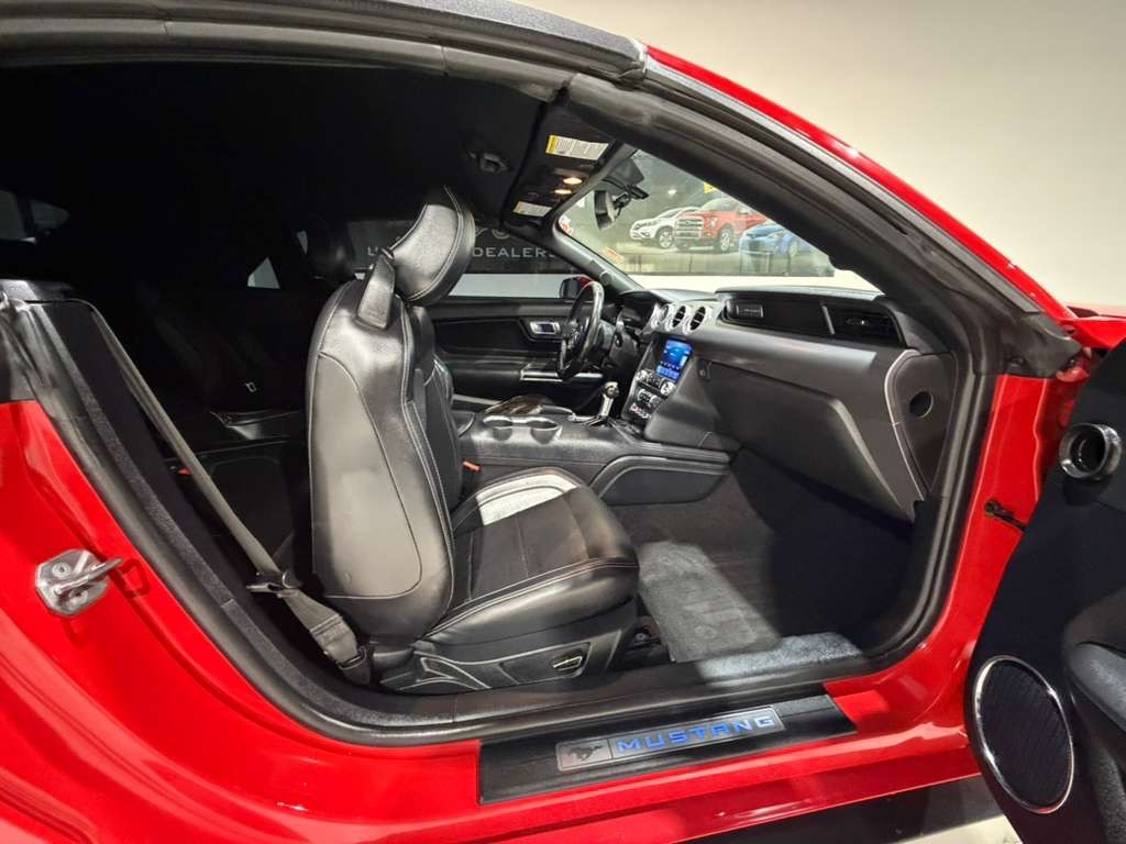 2019 Ford Mustang Image 14