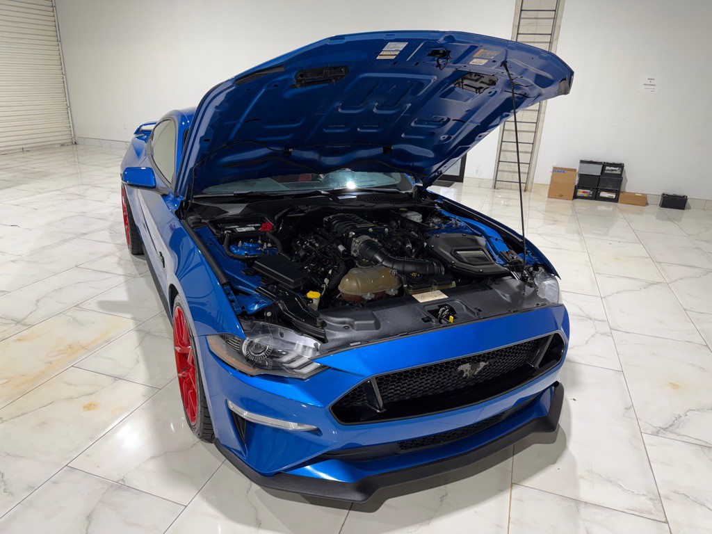 2019 Ford Mustang Image 5