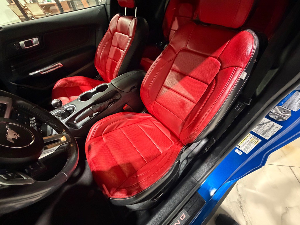 2019 Ford Mustang Image 20