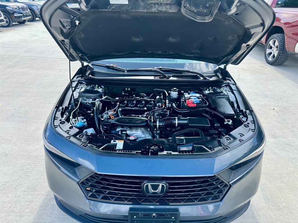 2024 Honda Accord Image 14