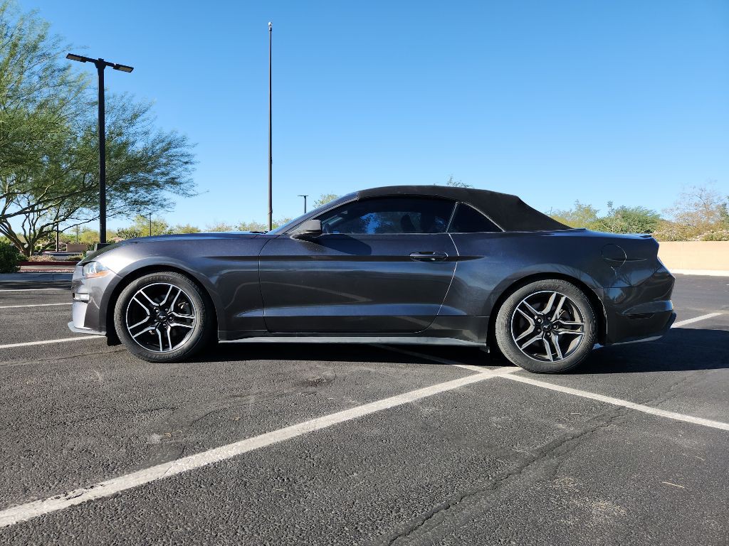 2019 Ford Mustang Image 1