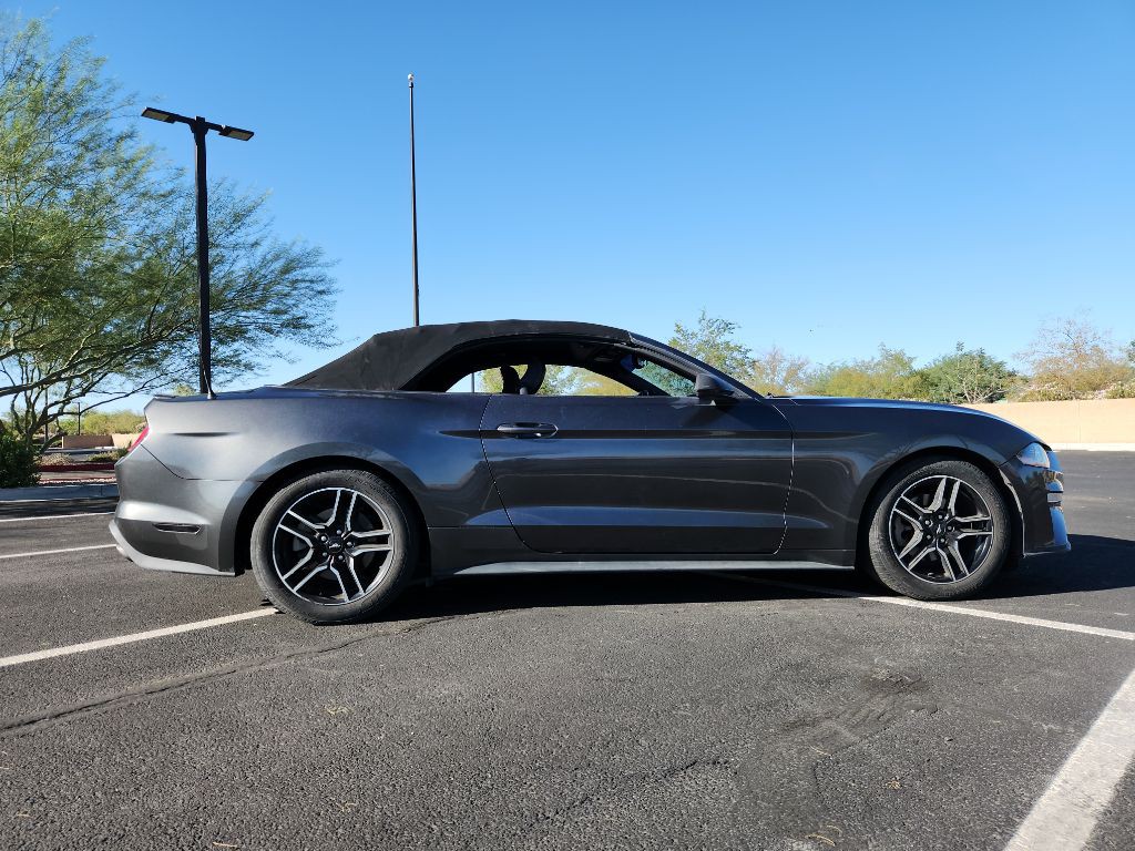 2019 Ford Mustang Image 2