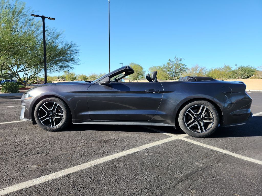 2019 Ford Mustang Image 3