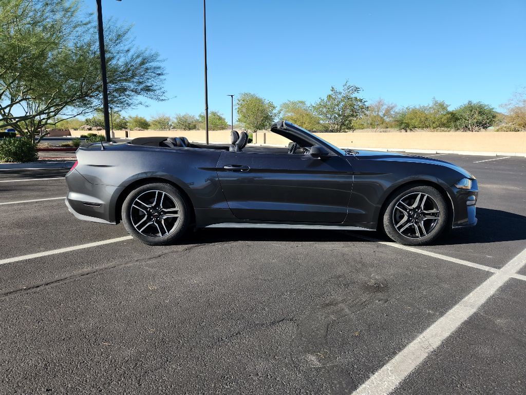 2019 Ford Mustang Image 4