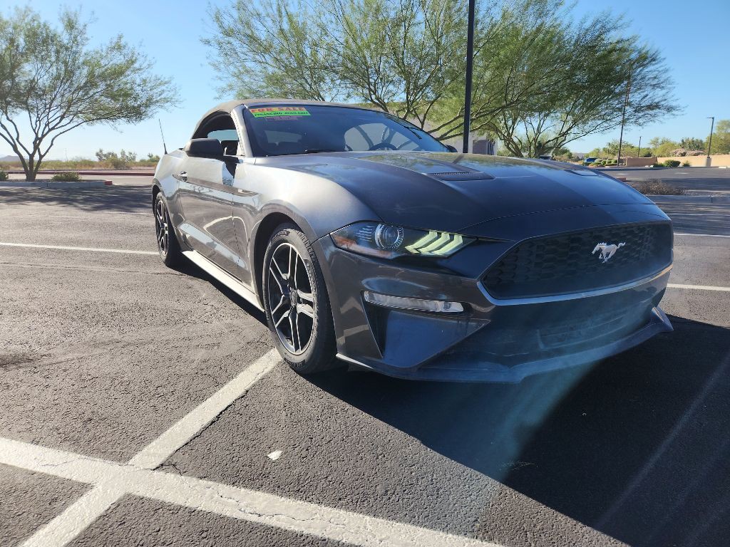 2019 Ford Mustang Image 5