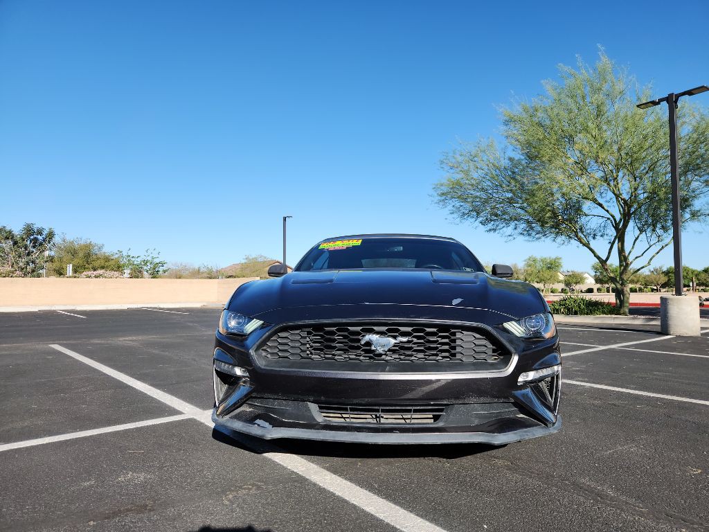 2019 Ford Mustang Image 7