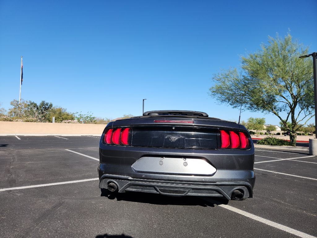 2019 Ford Mustang Image 9