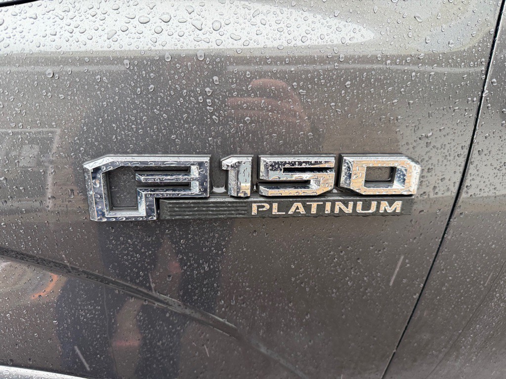 2015 Ford F-150 Image 10