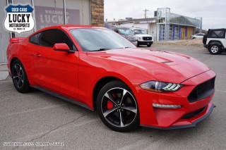 Image for 2019 Ford Mustang  ID: 6555856