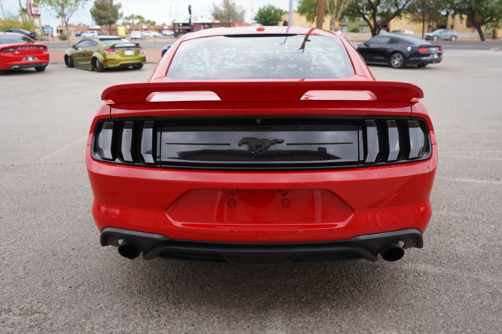 2019 Ford Mustang Image 4