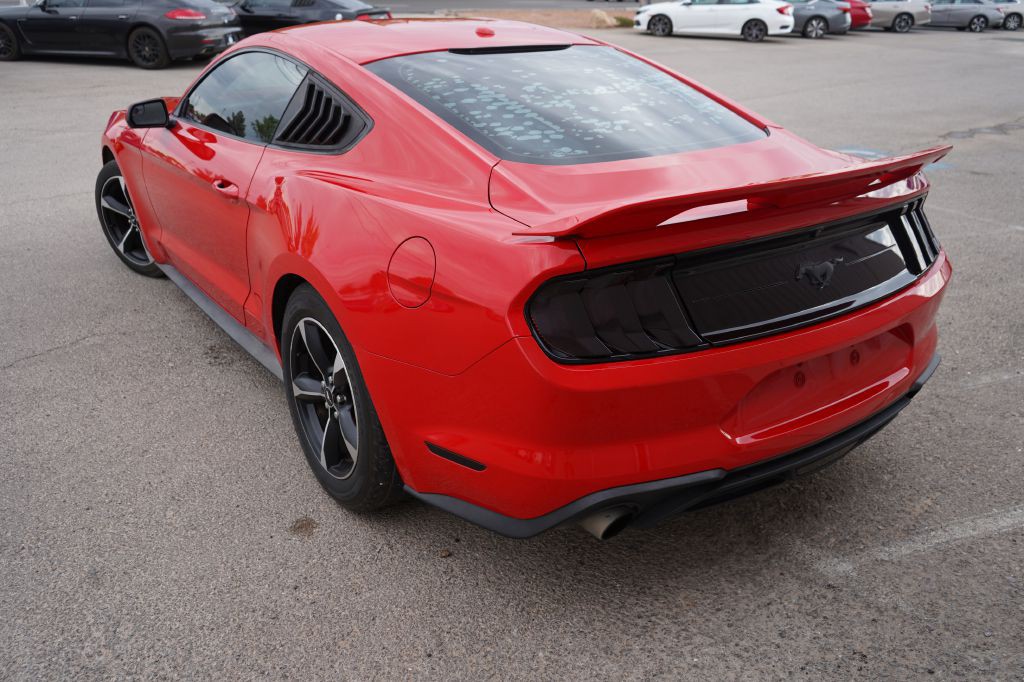 2019 Ford Mustang Image 5