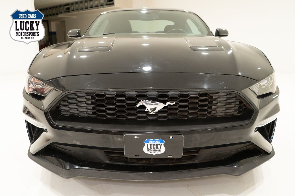 2019 Ford Mustang Image 3