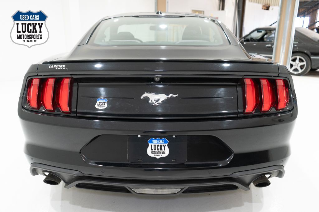 2019 Ford Mustang Image 7