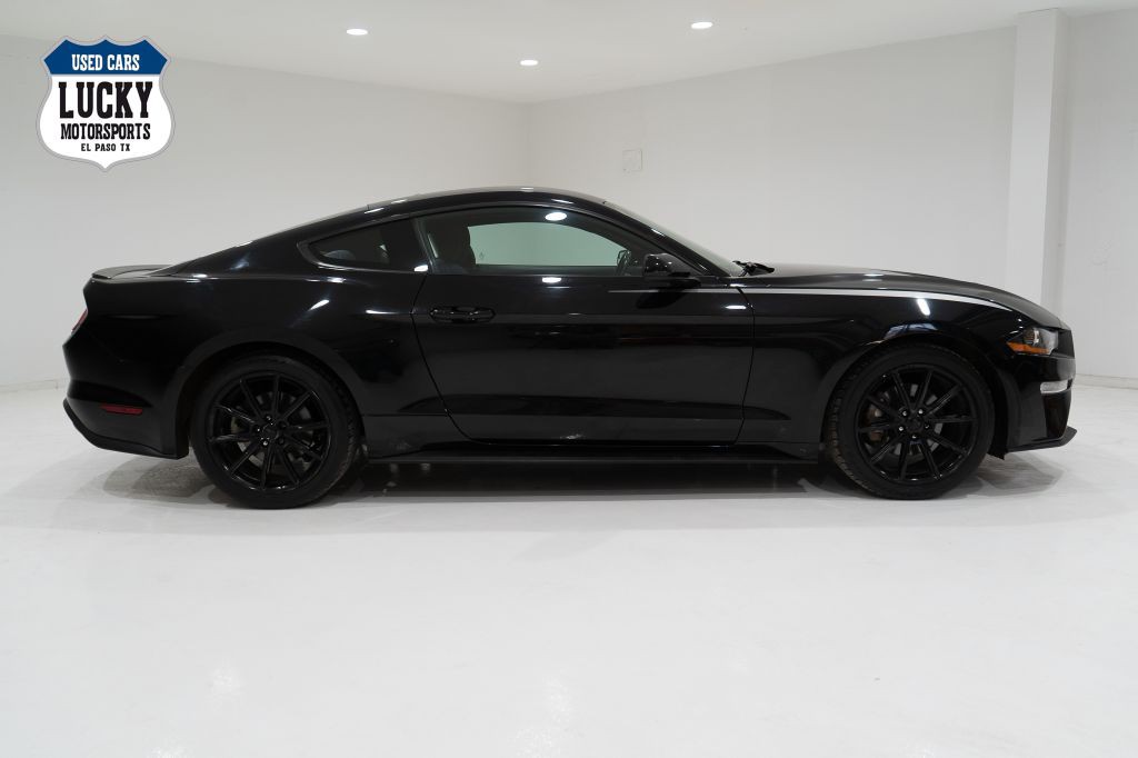 2019 Ford Mustang Image 1