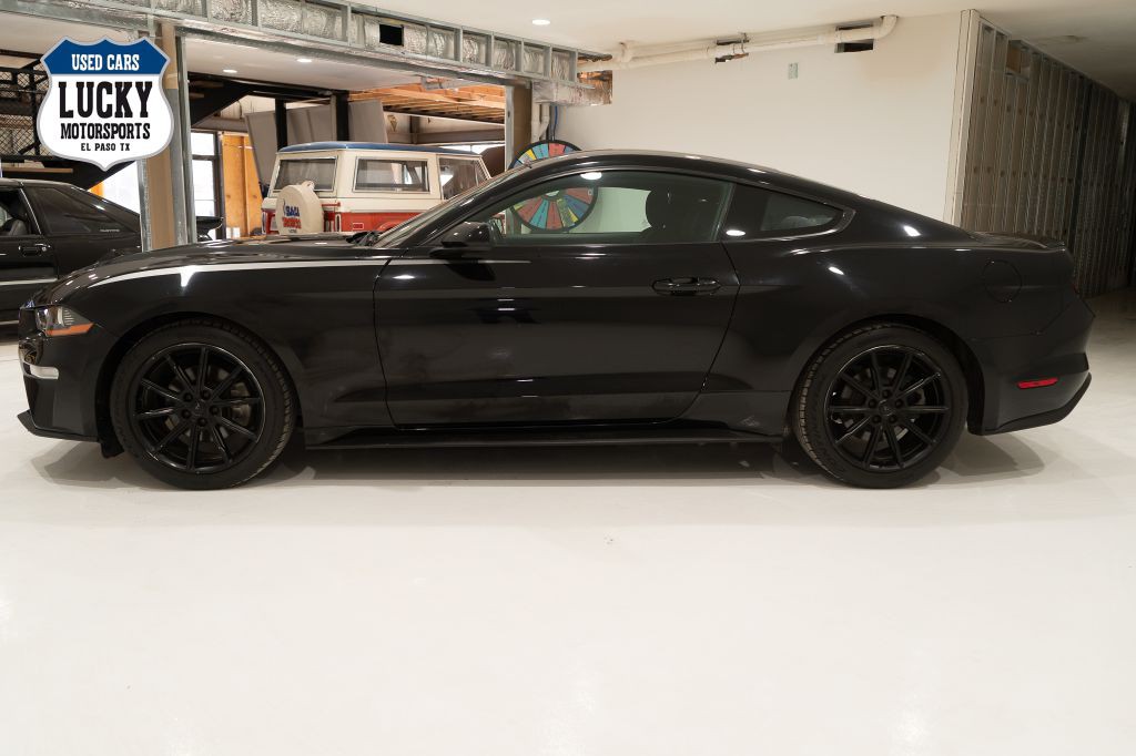 2019 Ford Mustang Image 5