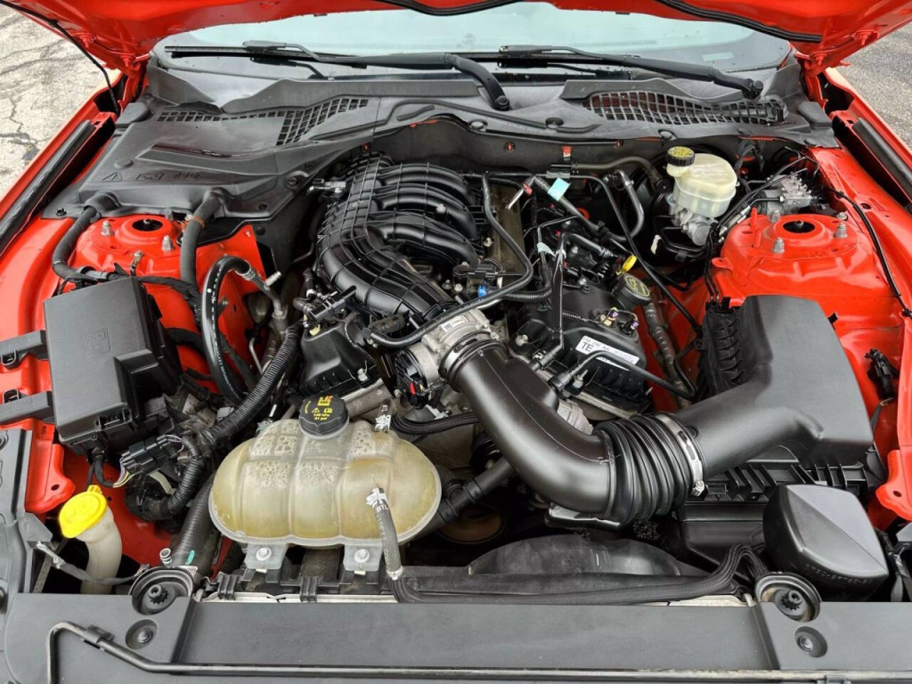2015 Ford Mustang Image 14