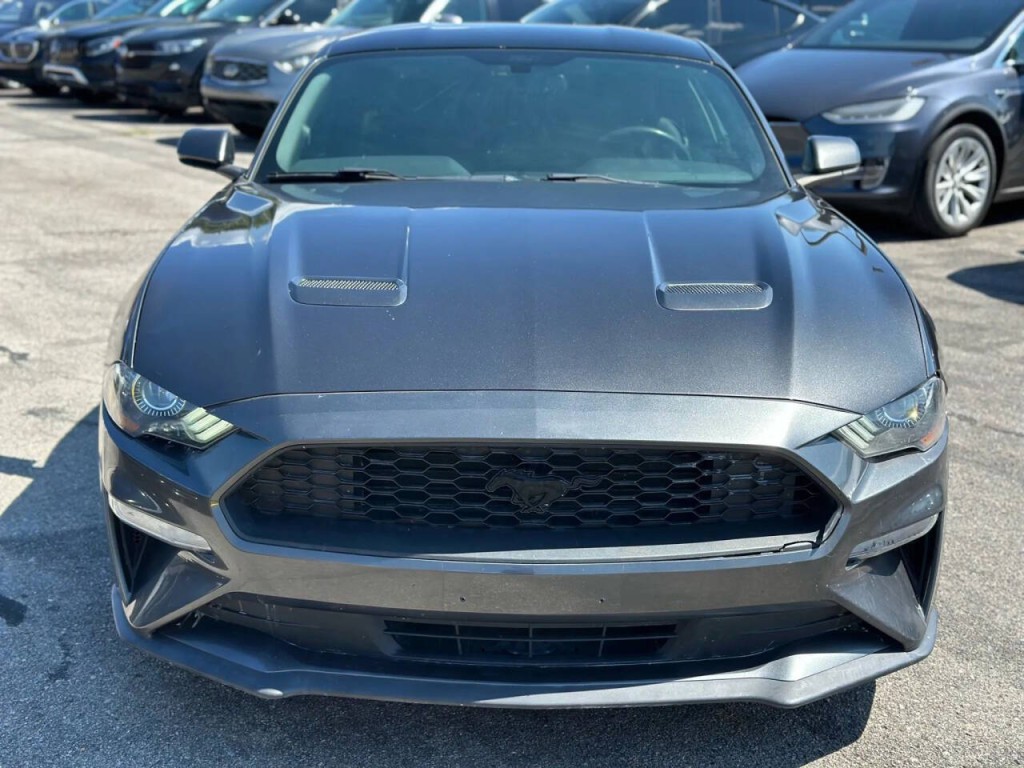 2019 Ford Mustang Image 2