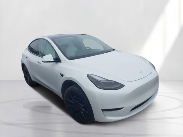 2023 Tesla Model Y Image 3
