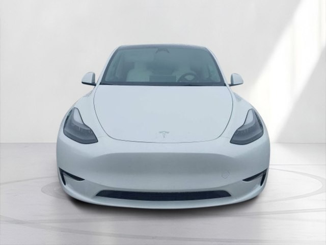 2023 Tesla Model Y Image 4