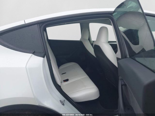 2023 Tesla Model Y Image 7