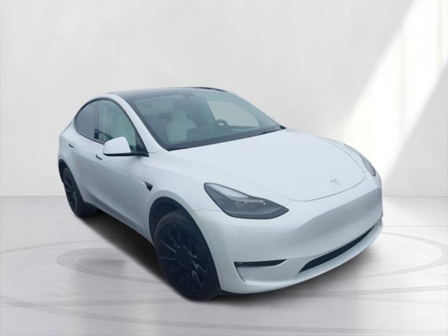 2023 Tesla Model Y Image 8