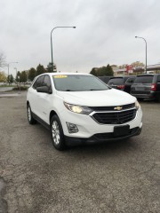 Image for 2018 Chevrolet Equinox LS ID: 7007001