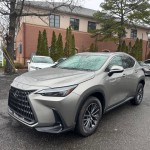 Image for 2022 Lexus NX  ID: 6581268