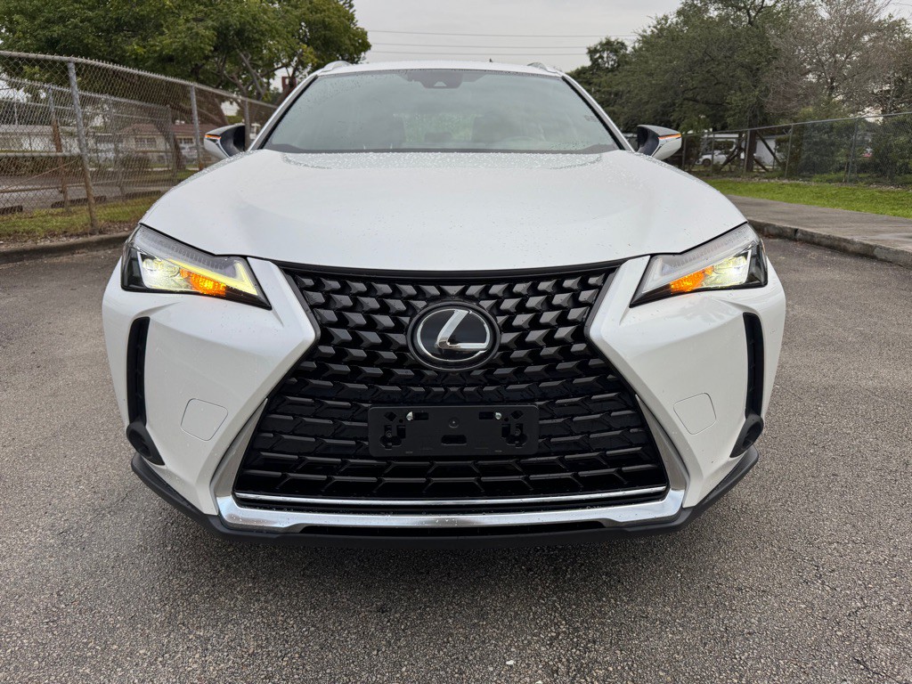 2019 Lexus UX Image 2