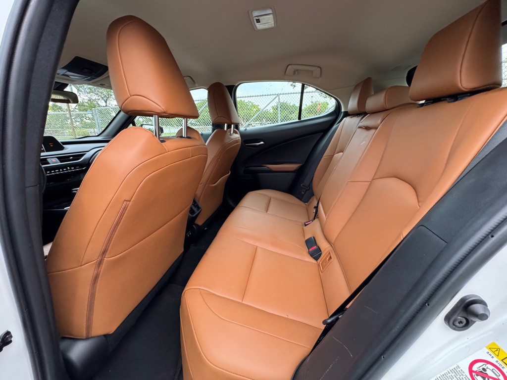 2019 Lexus UX Image 10
