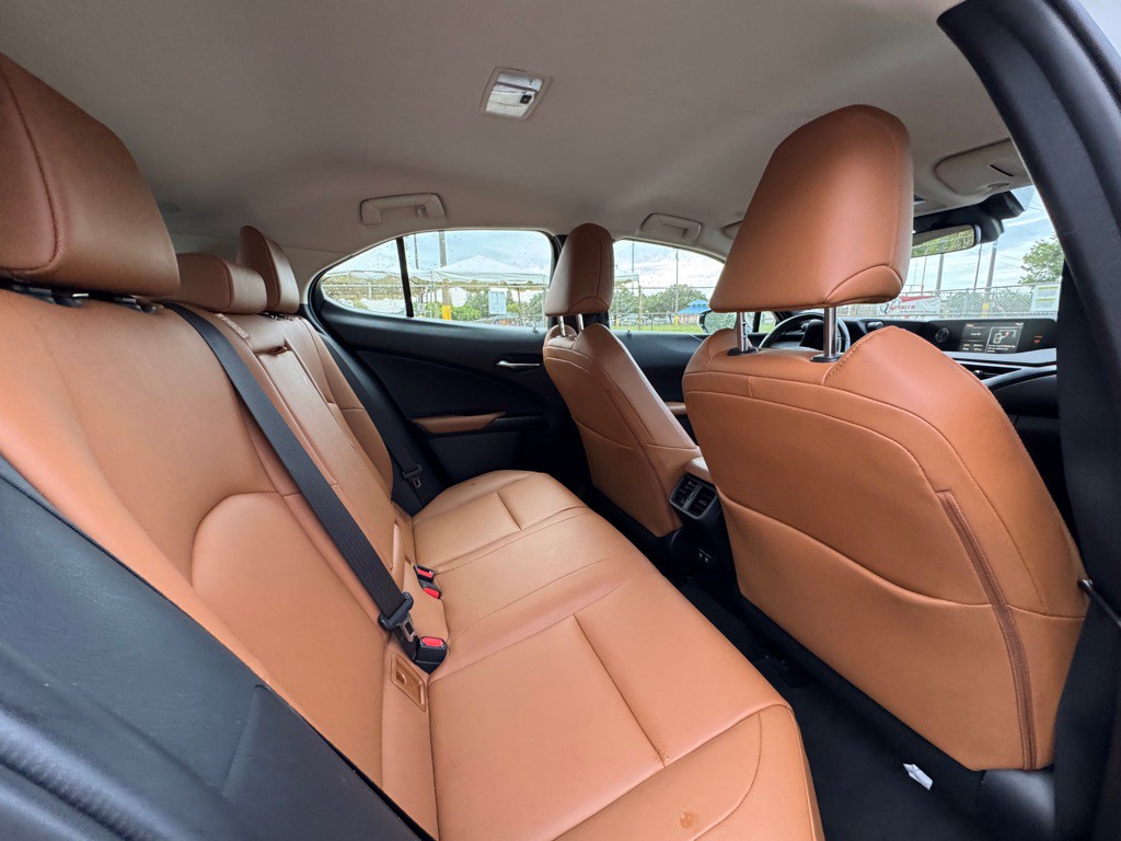 2019 Lexus UX Image 11