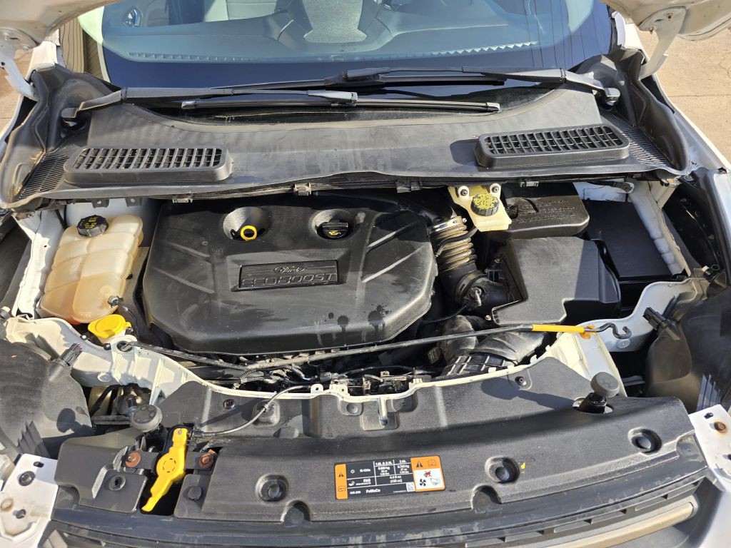 2014 Ford Escape Image 20