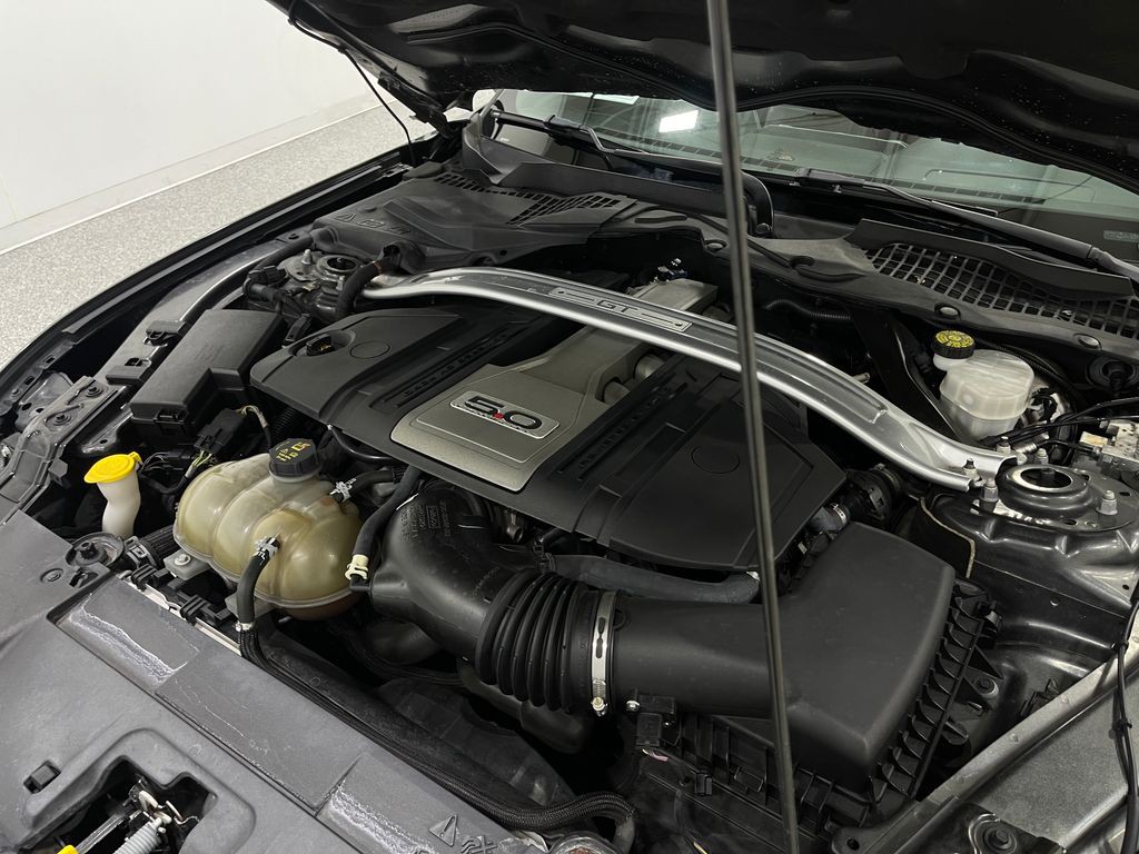 2019 Ford Mustang Image 27