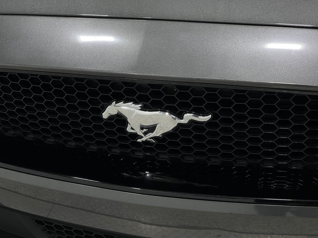 2019 Ford Mustang Image 37