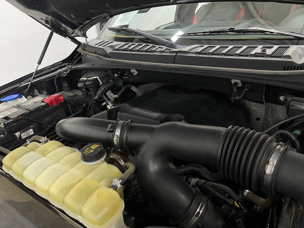 2019 Ford F-150 Image 29