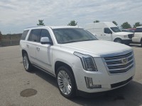 Image for 2017 Cadillac Escalade Platinum Edition ID: 6668100