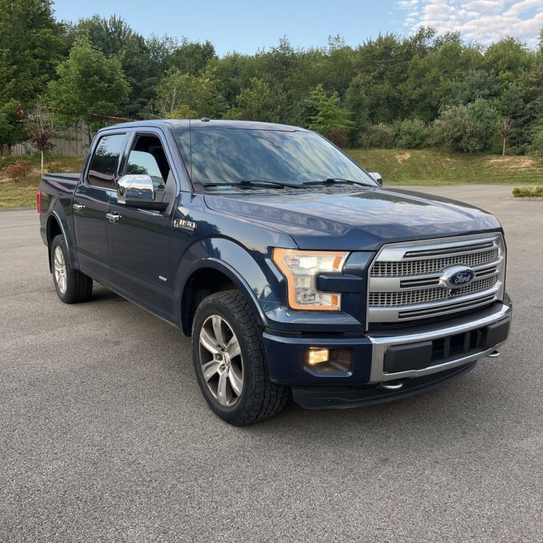 2016 Ford F-150 Image 1
