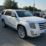 Image for 2018 Cadillac Escalade Premium Luxury ID: 6820487